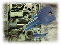 ���̏C���@�܂ꌮ